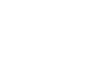 logo (8)
